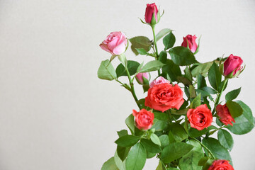 スプレー薔薇の花束