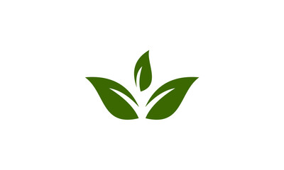 green leaf vector