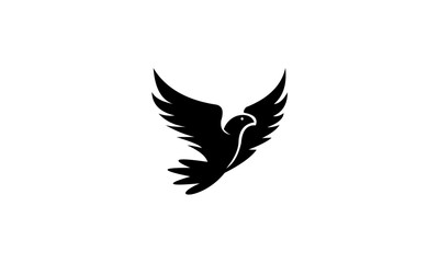 bird logo vector