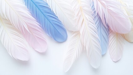 Naklejka premium Pastel colored feathers arranged on white background