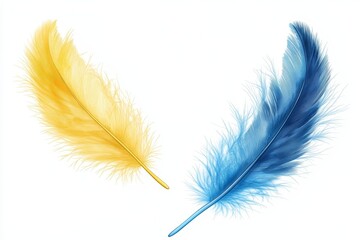 Fototapeta premium Two vibrant feathers, yellow and blue, isolated on white.
