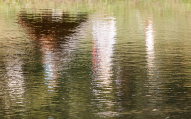 The water is calm and still, with ripples reflecting the surrounding environment