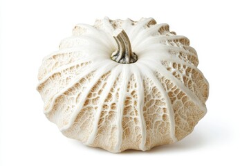 White decorative pumpkin with intricate texture isolated on white background.