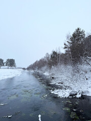 Winter landscape with non-freezing Oda River into which natural springs and sources flow. Snow-covered riverbank and forest. Winter travel and walks during New Year and Christmas holidays