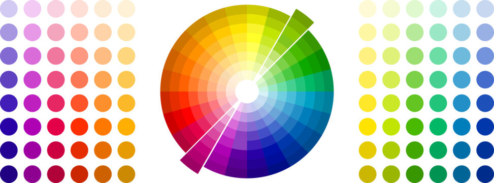 Color scheme with a circle in the center, color palette of flowers and their shades isolated on a white background. Vector, designer illustration.