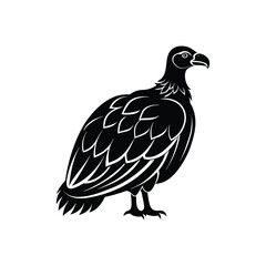 turkey vulture vector.eps