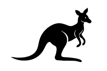 kangaroo illustration