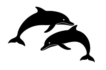 dolphin isolated on white background