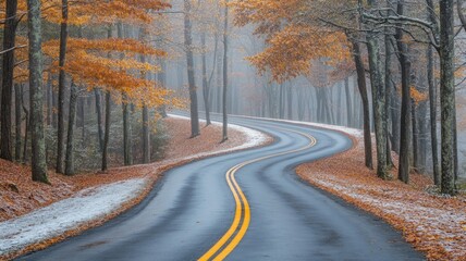 Fototapeta premium Winding Road Through Snowy Autumn Forest