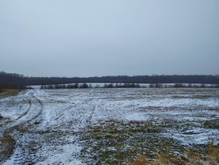 Winter landscape in cloudy weather on a spacious meadow with a winter forest visible on the horizon against a gray sky.