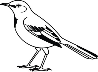 Birds vector art, Cute Birds silhouette vector illustration, Birds line art vector