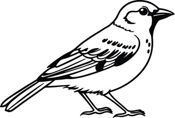 Birds vector art, Cute Birds silhouette vector illustration, Birds line art vector