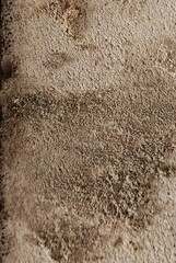 stone wall texture