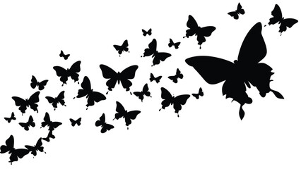 Swarm of Butterflies in the Sky