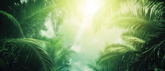 A serene view of lush greenery with sunlight filtering through palm leaves, creating a tranquil and vibrant atmosphere.