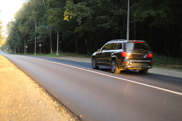 Naklejka premium Road in the woods. Fresh asphalt. Single lane road.