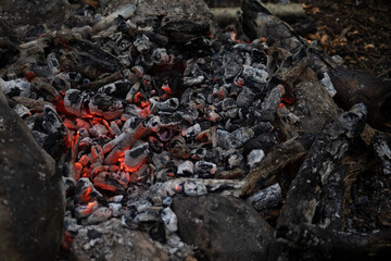 Coals in the fire. Hot coals. Details of a campfire in the woods.