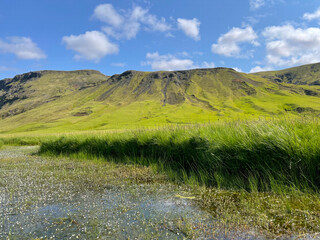 Lush green hills under a blue sky in Iceland
