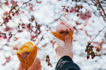 Ice Cream Cones and Blossoms