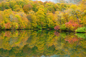 鎌池の映り込み