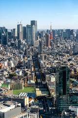 View of Tokyo cityscape including Tokyo Tower  seen from Shibuya Sky building