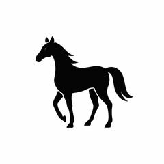 horse silhouette isolated on white