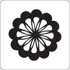 Intricate mandala art detailed geometric pattern