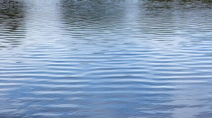 Fototapeta premium Calm Water Surface with Gentle Ripples and Reflections