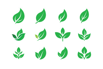 Green Leaf Icon Ecofriendly Logo Vector Illustration, Sustainable Nature Design.