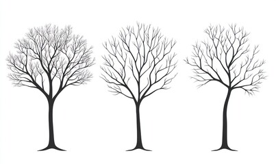 Three bare trees illustration, winter, nature.