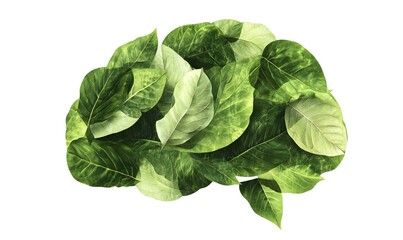 Green leaves arranged in brain shape.