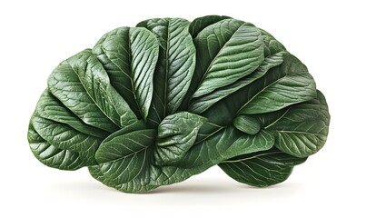 Fototapeta premium Green leaves arranged in brain shape. (1)