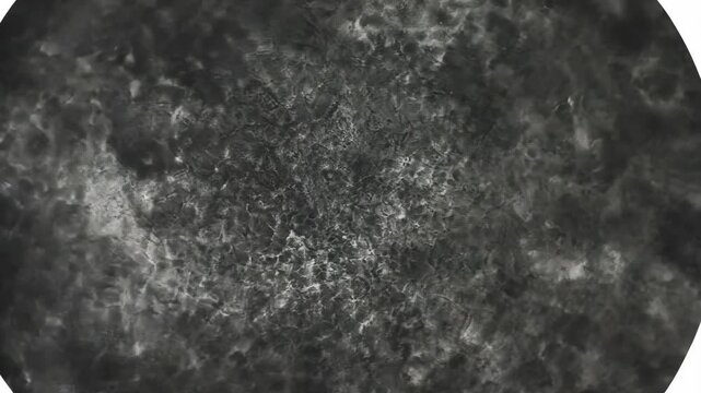 Abstract black and white texture showing organic patterns and intricate details during a scientific experiment