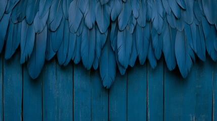 Fototapeta premium Dark Blue Feathers on Rustic Wooden Background
