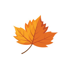  Autumn Leaf isolated flat vector illustration on white background.