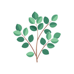 Obraz premium Eucalyptus Branchs isolated flat vector illustration on white background.