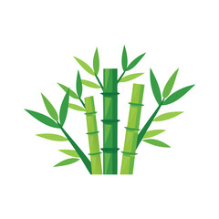 Naklejka premium Green bamboo stalks and leaves isolated flat vector illustration on white background