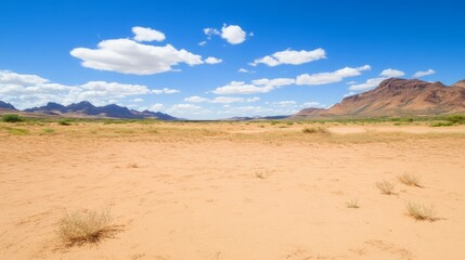 Desert Landscape Under a Bright Blue Sky with Mountains