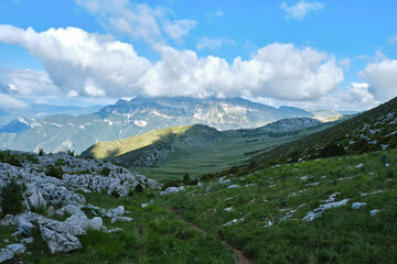 greenish meadow on the plain before the summit of the Castillo Mayor, Aragonese Pyrenees, Sobrarbe, Aragon.