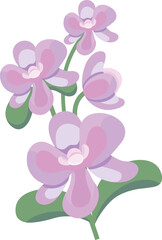 Orchid Flower Vector Flat Illustration
