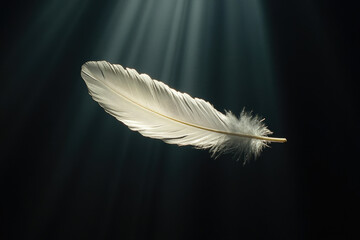 Obraz premium A single, white feather floats in a dark room, illuminated by rays of light.