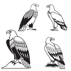 flying hunting bald eagle black silhouette illustration design.