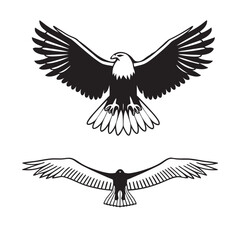 flying hunting bald eagle black silhouette illustration design.