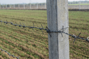 A large fence with rows of barbed wire in a field, Concrete pole with wire fencing around rice...