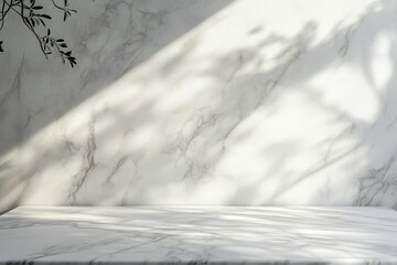 Sunlit marble background with shadow and plant.