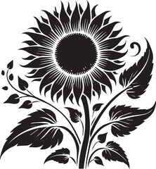 Black and white flower