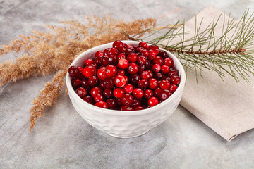 Ripe sweet sour cranberry heap