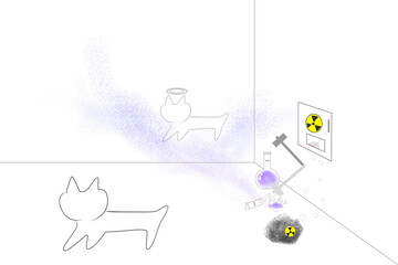 A simple cat version of Schrödinger's cat experiment