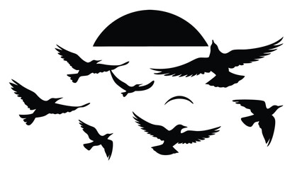 Silhouette of Birds at Sunset