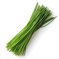 Fototapeta premium Harvesting fresh chives garden food photography outdoors close-up